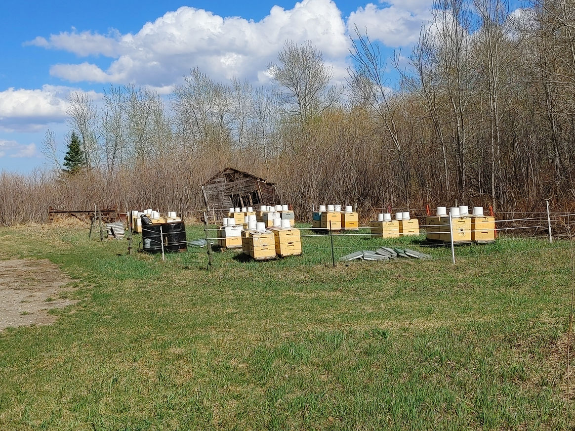 2021 Season photo 30